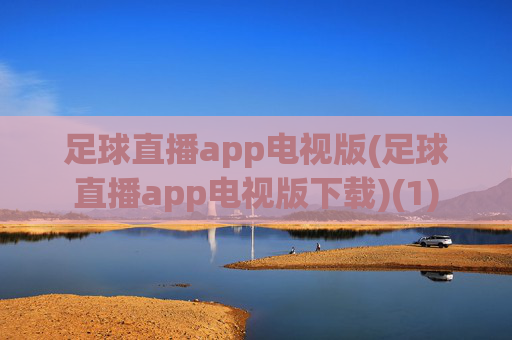 足球直播app电视版(足球直播app电视版下载)(1)