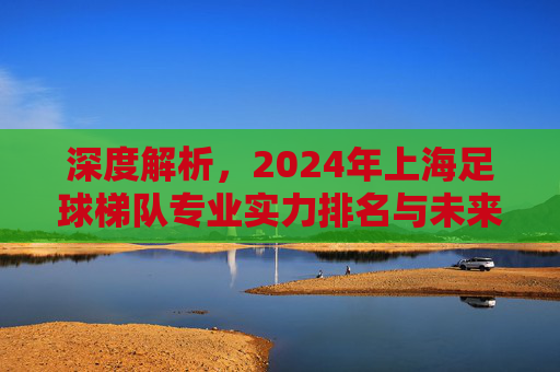 深度解析,2024年上海足球梯队专业实力排名与未来展望