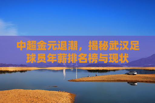 中超金元退潮,揭秘武汉足球员年薪排名榜与现状