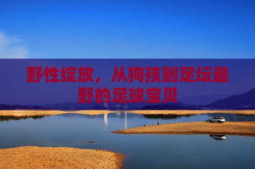 野性绽放,从狗孩到足坛最野的足球宝贝