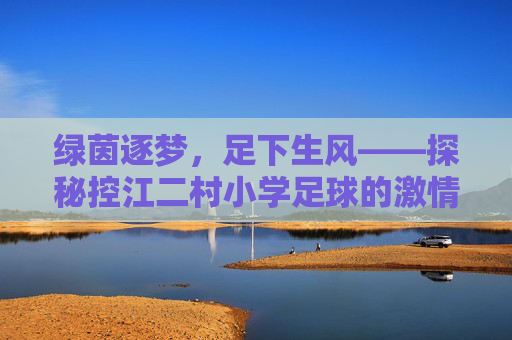 绿茵逐梦,足下生风——探秘控江二村小学足球的激情与成长