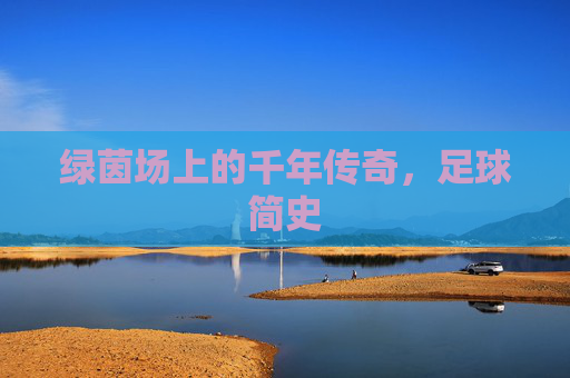 绿茵场上的千年传奇，足球简史