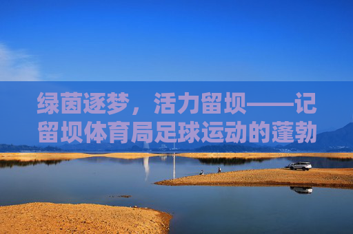 绿茵逐梦,活力留坝——记留坝体育局足球运动的蓬勃发展