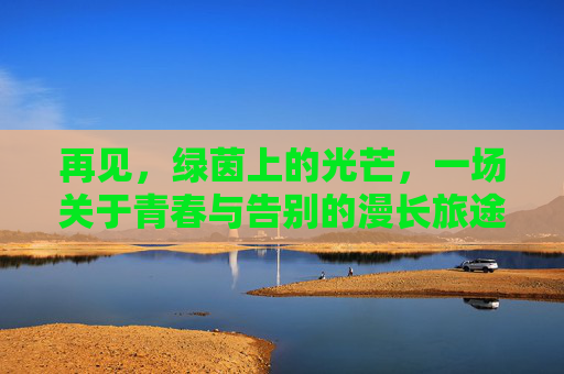 再见,绿茵上的光芒,一场关于青春与告别的漫长旅途