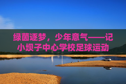 绿茵逐梦,少年意气——记小坝子中心学校足球运动
