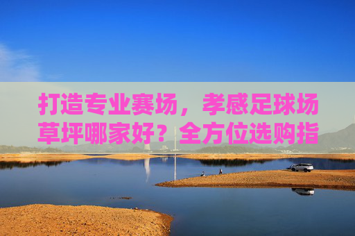 打造专业赛场，孝感足球场草坪哪家好？全方位选购指南