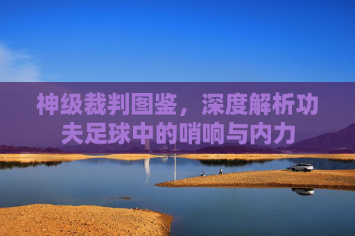 神级裁判图鉴,深度解析功夫足球中的哨响与内力