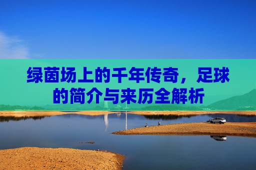 绿茵场上的千年传奇,足球的简介与来历全解析