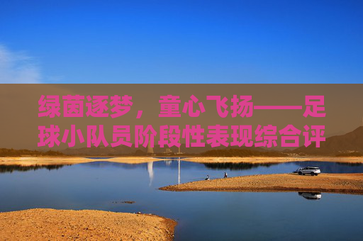 绿茵逐梦,童心飞扬——足球小队员阶段性表现综合评价