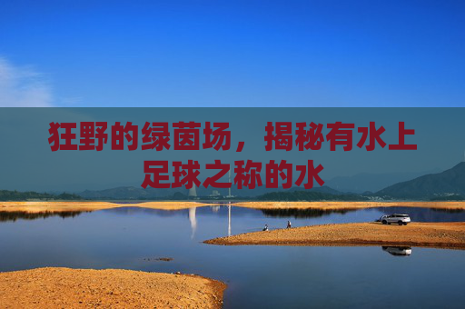 狂野的绿茵场,揭秘有水上足球之称的水