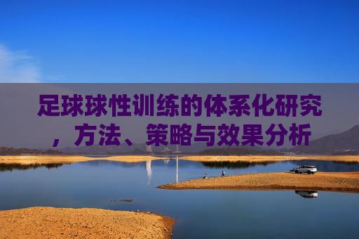 足球球性训练的体系化研究，方法、策略与效果分析