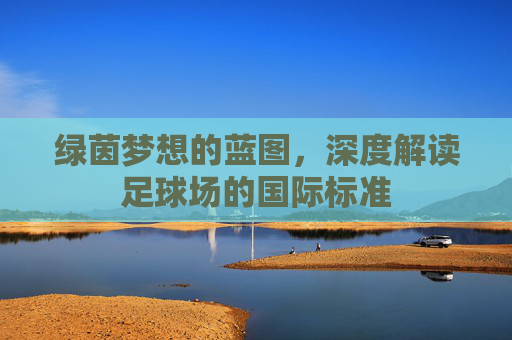 绿茵梦想的蓝图，深度解读足球场的国际标准
