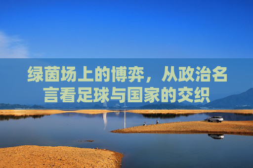 绿茵场上的博弈,从政治名言看足球与国家的交织