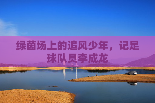 绿茵场上的追风少年,记足球队员李成龙