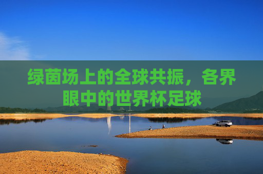 绿茵场上的全球共振，各界眼中的世界杯足球