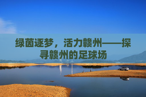 绿茵逐梦,活力赣州——探寻赣州的足球场