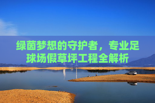 绿茵梦想的守护者,专业足球场假草坪工程全解析