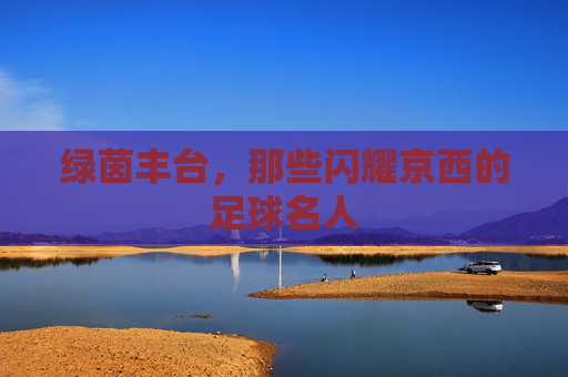 绿茵丰台,那些闪耀京西的足球名人