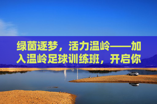 绿茵逐梦,活力温岭——加入温岭足球训练班,开启你的足球之旅
