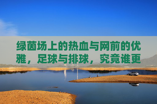 绿茵场上的热血与网前的优雅,足球与排球,究竟谁更好玩?