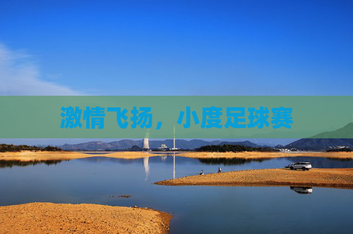 激情飞扬,小度足球赛