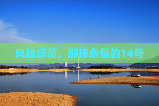 风起绿茵,那抹永恒的14号