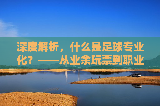 深度解析,什么是足球专业化?——从业余玩票到职业生态的进化之路