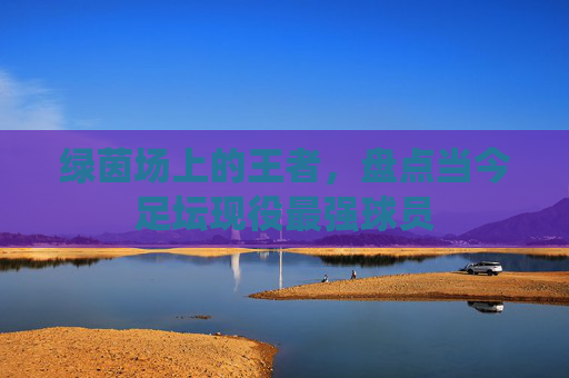 绿茵场上的王者，盘点当今足坛现役最强球员