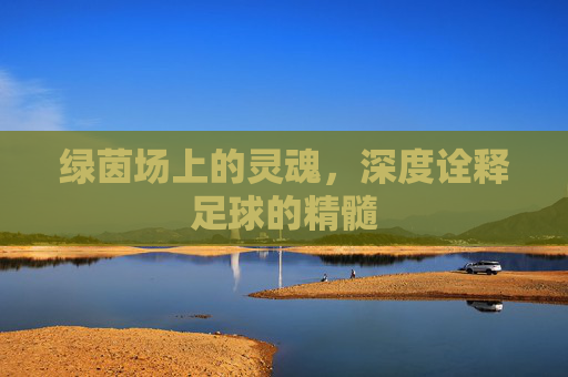 绿茵场上的灵魂,深度诠释足球的精髓