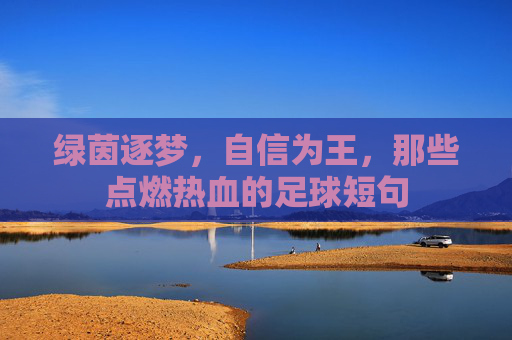 绿茵逐梦,自信为王,那些点燃热血的足球短句