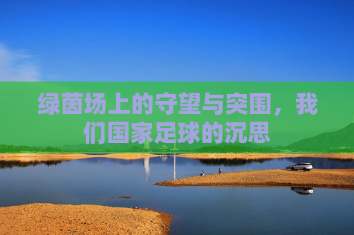 绿茵场上的守望与突围,我们国家足球的沉思