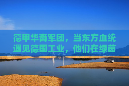 德甲华裔军团,当东方血统遇见德国工业,他们在绿茵场上书写融合与传承
