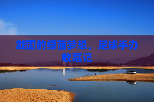 凝固的绿茵梦想,足球手办收藏记