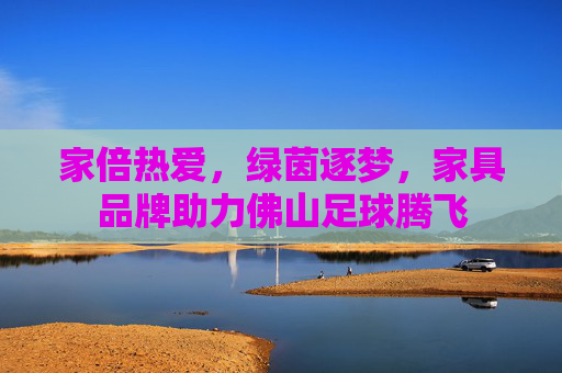 家倍热爱,绿茵逐梦,家具品牌助力佛山足球腾飞