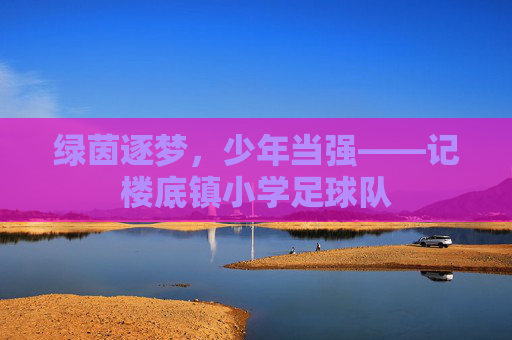 绿茵逐梦，少年当强——记楼底镇小学足球队