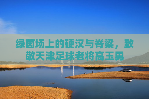 绿茵场上的硬汉与脊梁,致敬天津足球老将高玉勇