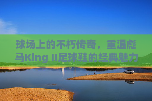 球场上的不朽传奇，重温彪马King II足球鞋的经典魅力