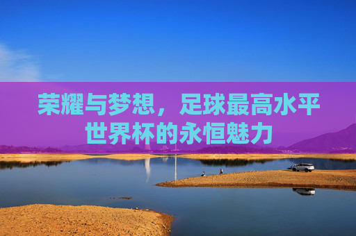 荣耀与梦想,足球最高水平世界杯的永恒魅力
