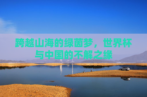 跨越山海的绿茵梦,世界杯与中国的不解之缘