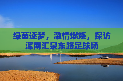 绿茵逐梦,激情燃烧,探访浑南汇泉东路足球场