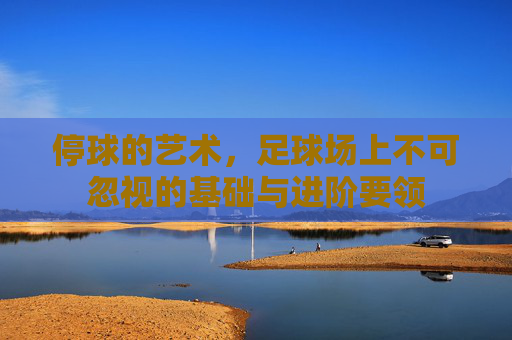 停球的艺术,足球场上不可忽视的基础与进阶要领