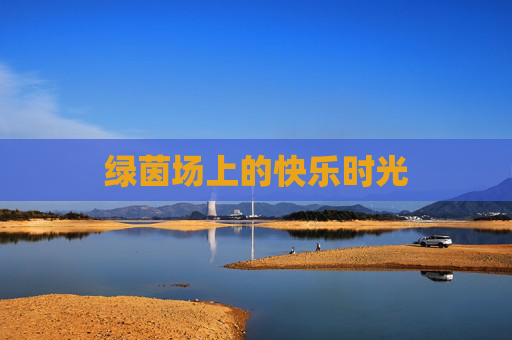 绿茵场上的快乐时光