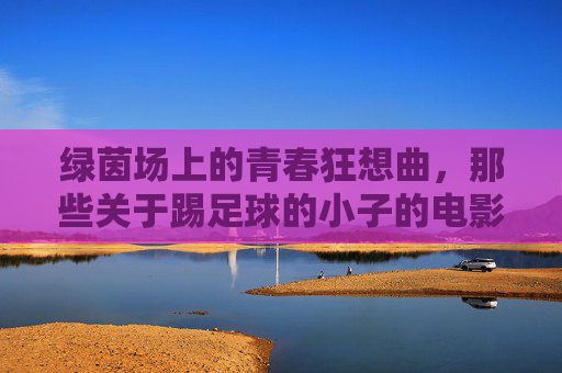 绿茵场上的青春狂想曲,那些关于踢足球的小子的电影