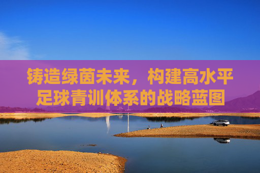 铸造绿茵未来,构建高水平足球青训体系的战略蓝图