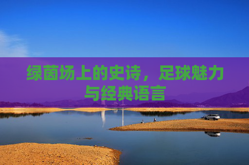 绿茵场上的史诗,足球魅力与经典语言