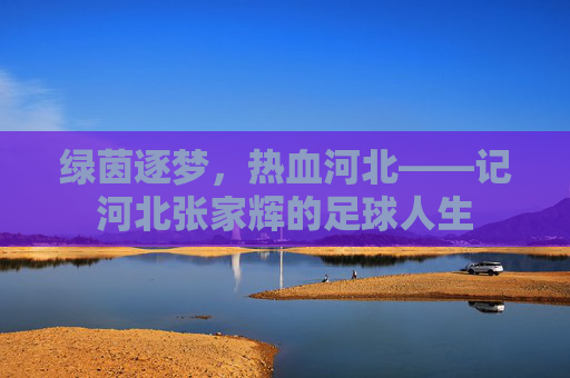 绿茵逐梦,热血河北——记河北张家辉的足球人生