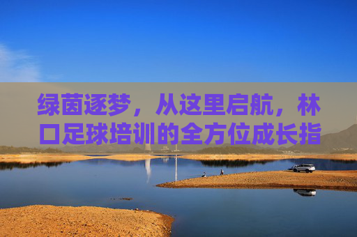绿茵逐梦,从这里启航,林口足球培训的全方位成长指南