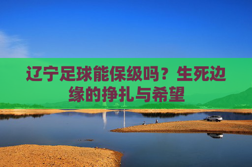 辽宁足球能保级吗?生死边缘的挣扎与希望