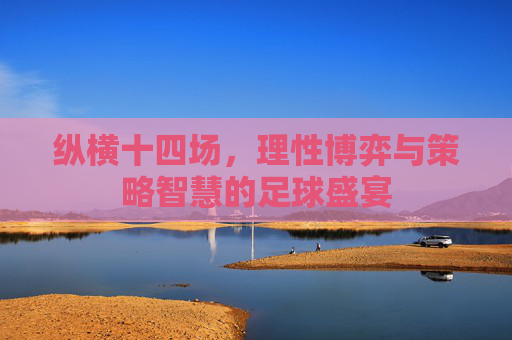 纵横十四场，理性博弈与策略智慧的足球盛宴