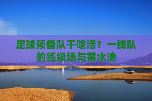 足球预备队干啥活?一线队的练级场与蓄水池